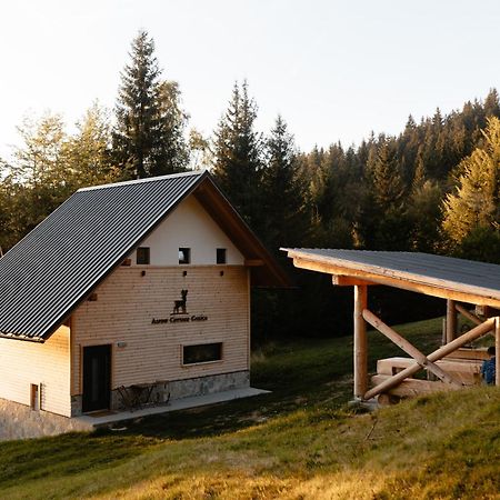 Alpine Cottage Golica Jesenice Buitenkant foto