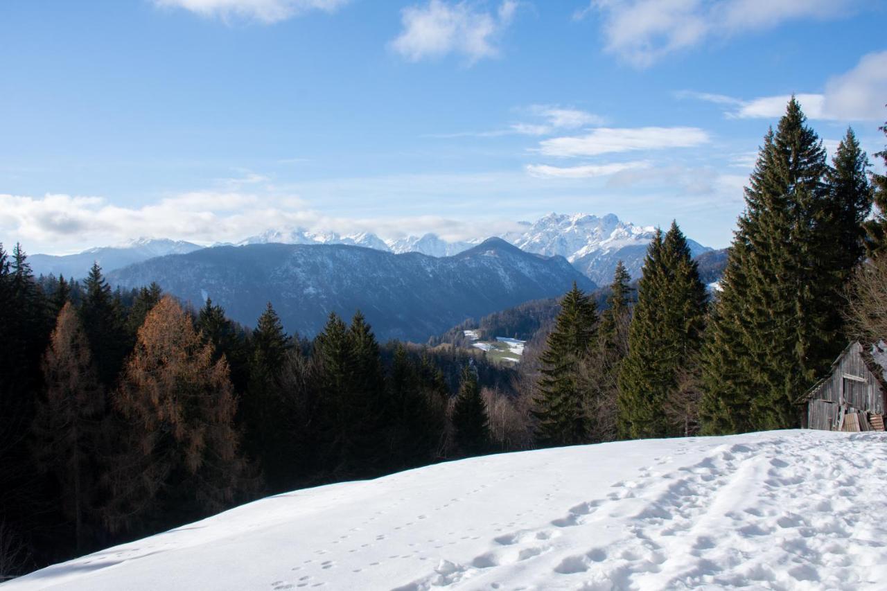 Alpine Cottage Golica Jesenice Buitenkant foto