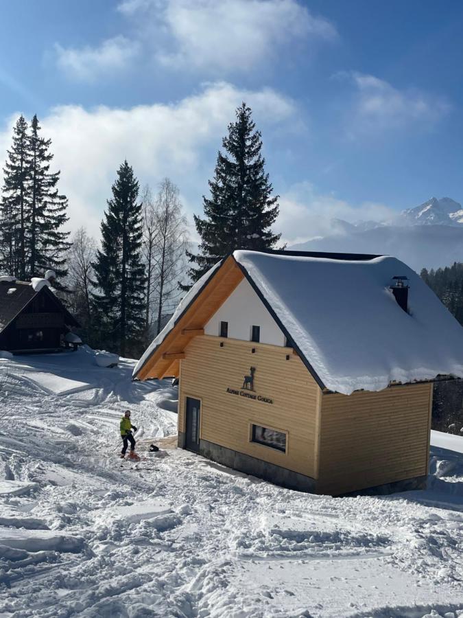 Alpine Cottage Golica Jesenice Buitenkant foto